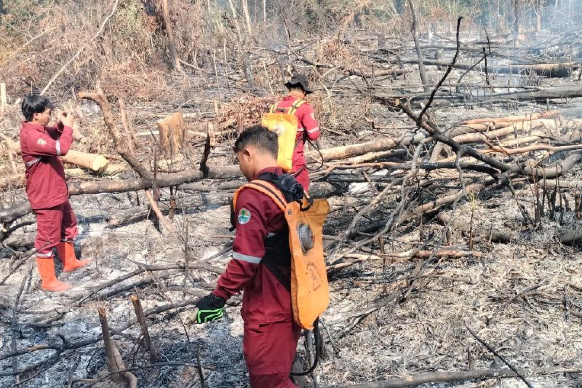 28 Titik Api Terdeteksi di Tabalong Sepanjang 2026, Satu di Antaranya Masuk Kawasan Hutan Lindung