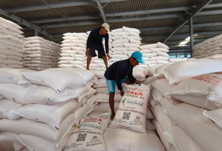 Alokasi Pupuk Subsidi di Indramayu Terbesar se-Jawa Barat, Serapan Baru 45 Persen Jelang Musim Tanam