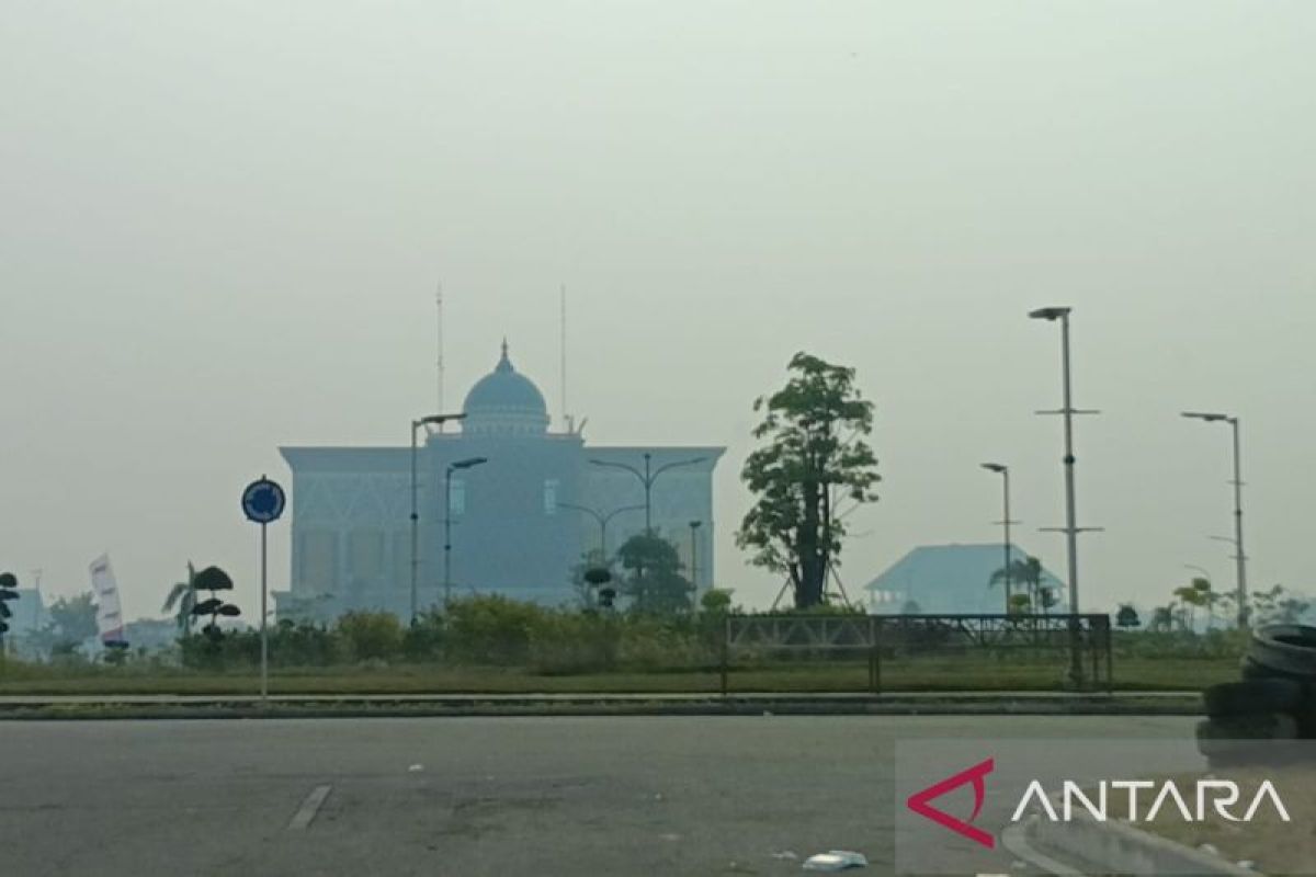 491 Titik Panas Terdeteksi di Riau, Pelalawan Jadi Wilayah Terparah dengan 239 Hotspot