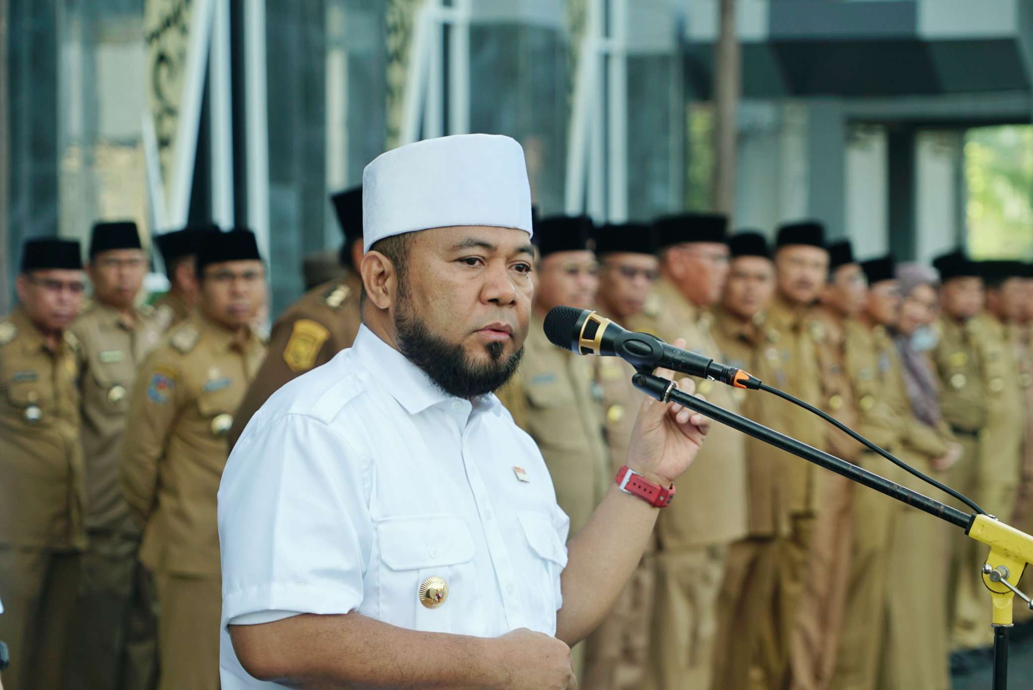 Gubernur Bengkulu Helmi Hasan Laporkan 31 Pabrik Sawit ke Mentan, Harga TBS Jauh di Bawah Ketetapan Rp3.345 per Kg