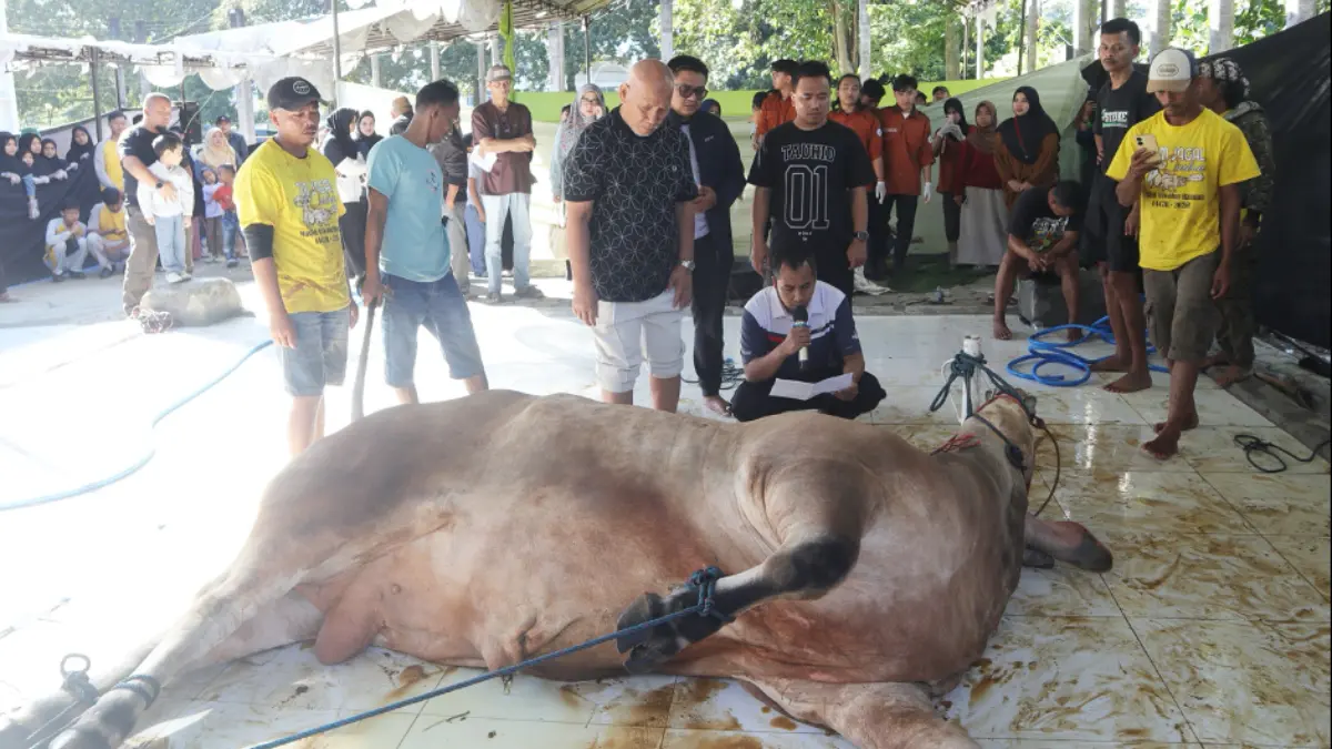 Unida Bogor Bagikan Lebih dari 2.500 Paket Daging Kurban untuk Warga Sekitar Kampus saat Idul Adha