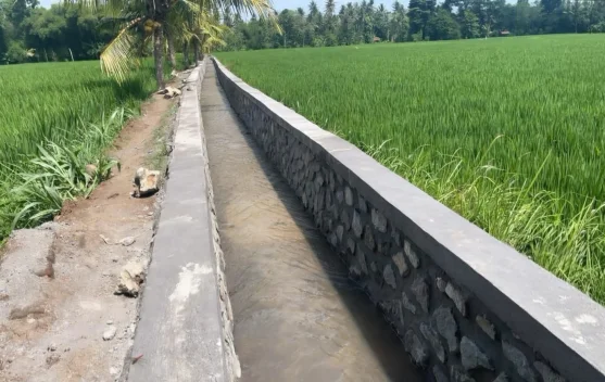 Enam Kabupaten di Bali Dapat Program Irigasi P3-TGAI 2026, 78 Lokasi Subak Diperkuat Lewat Padat Karya