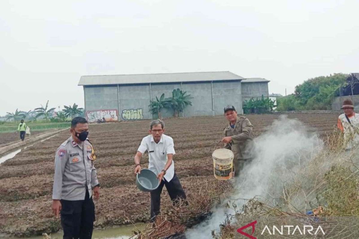 Dinkes Kota Tangerang: Asap Bakar Sampah Tingkatkan Risiko Gangguan Pernapasan, Warga Diimbau Pakai Masker