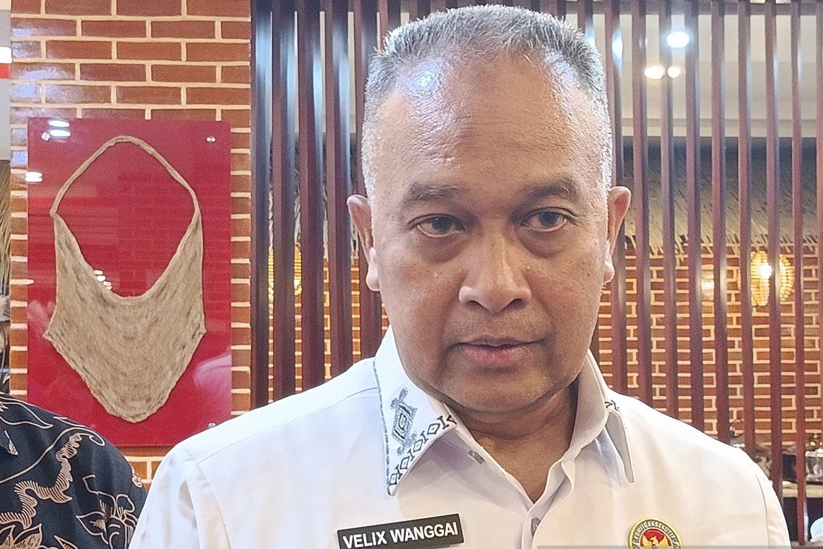 KEPPOKP Dorong Satu Data Indonesia di 8 Kabupaten Papua Pegunungan, Data Akurat Jadi Kunci Pembangunan