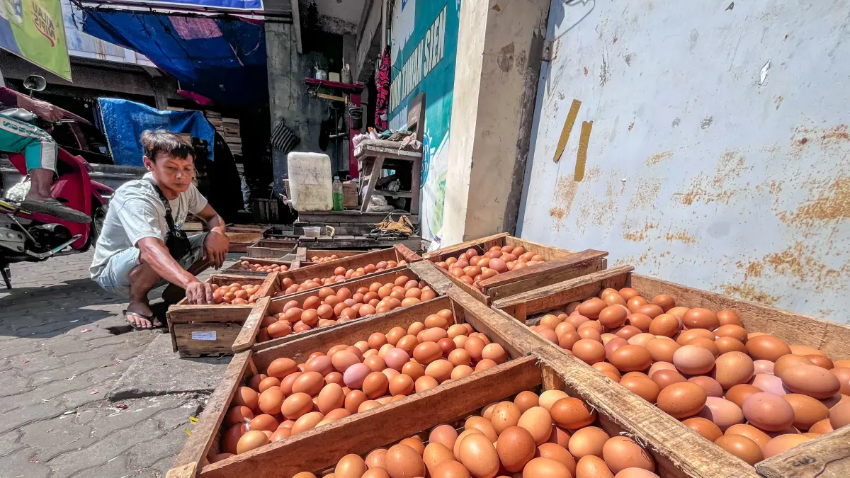 Harga Telur Ayam Anjlok, Pedagang Pasar Legi Solo Kurangi Stok Hingga 10 Kotak Per Hari