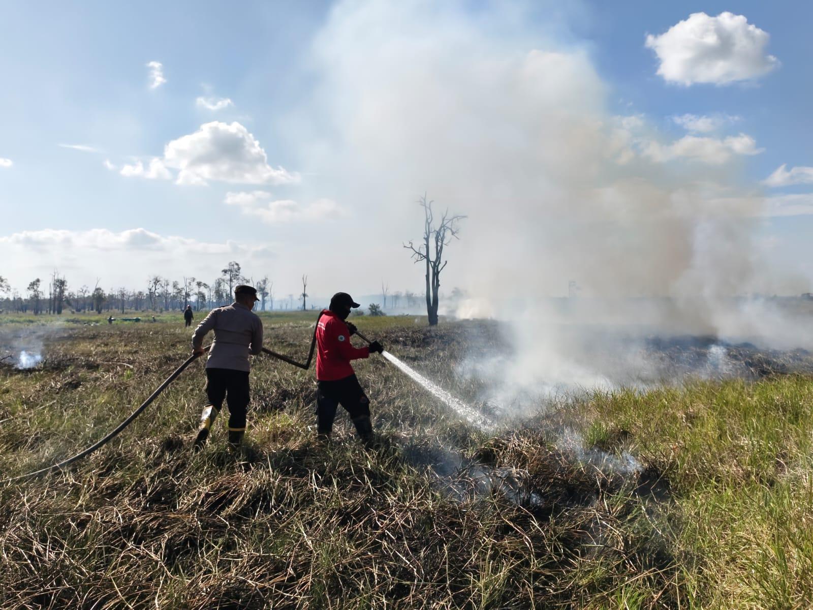 Tim Gabungan Padamkan Karhutla di Seruyan Hilir, 1 Hektare Lahan Gambut Terbakar