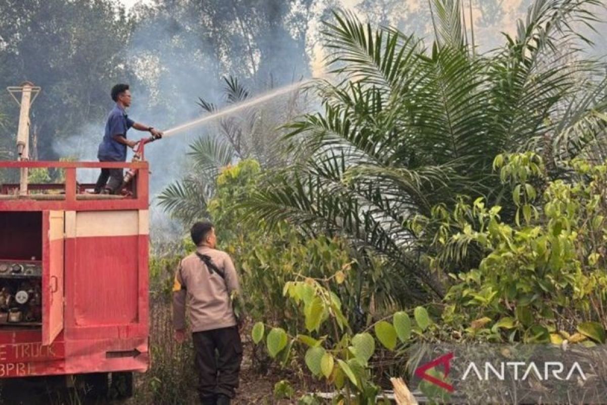 BPBD Pangkalpinang Tangani 56 Kejadian Karhutla, 27 di Antaranya Terjadi Agustus 2026