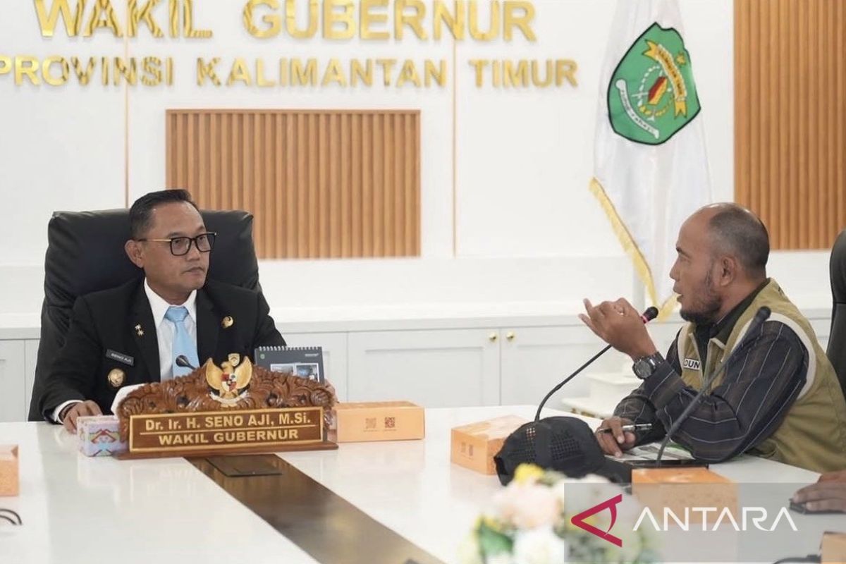 Pemprov Kaltim Gandeng HPDKI Pacu Budidaya Domba, Pasokan Daging Masih Defisit 40-50 Persen