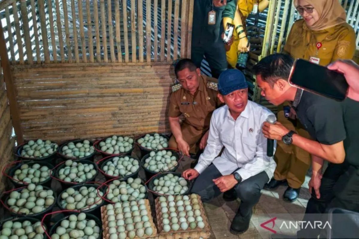 5 Program Ekonomi dan Kesejahteraan di Kalsel: Dari Pemberdayaan Klaster Siti Hawa HST hingga Nobar Piala Dunia untuk UMKM