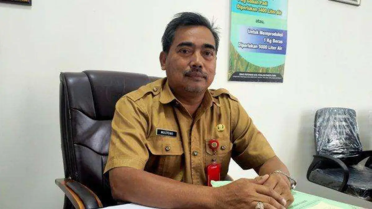 Harga Cabai Merah Keriting di PPU Melonjak Tajam, Bawang hingga Minyak Goreng Terpantau Stabil