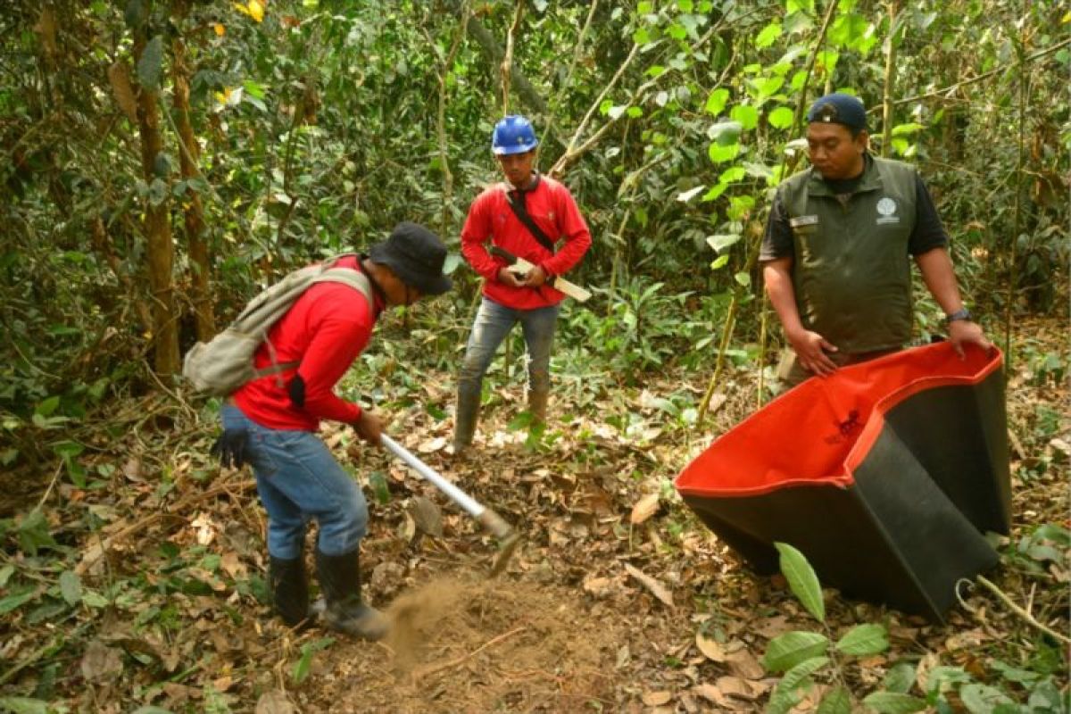 BKSDA Kaltim Bangun 4 Kubangan Air di Jalur Satwa Kutai Timur, Antisipasi Dehidrasi Orang Utan Saat Kemarau