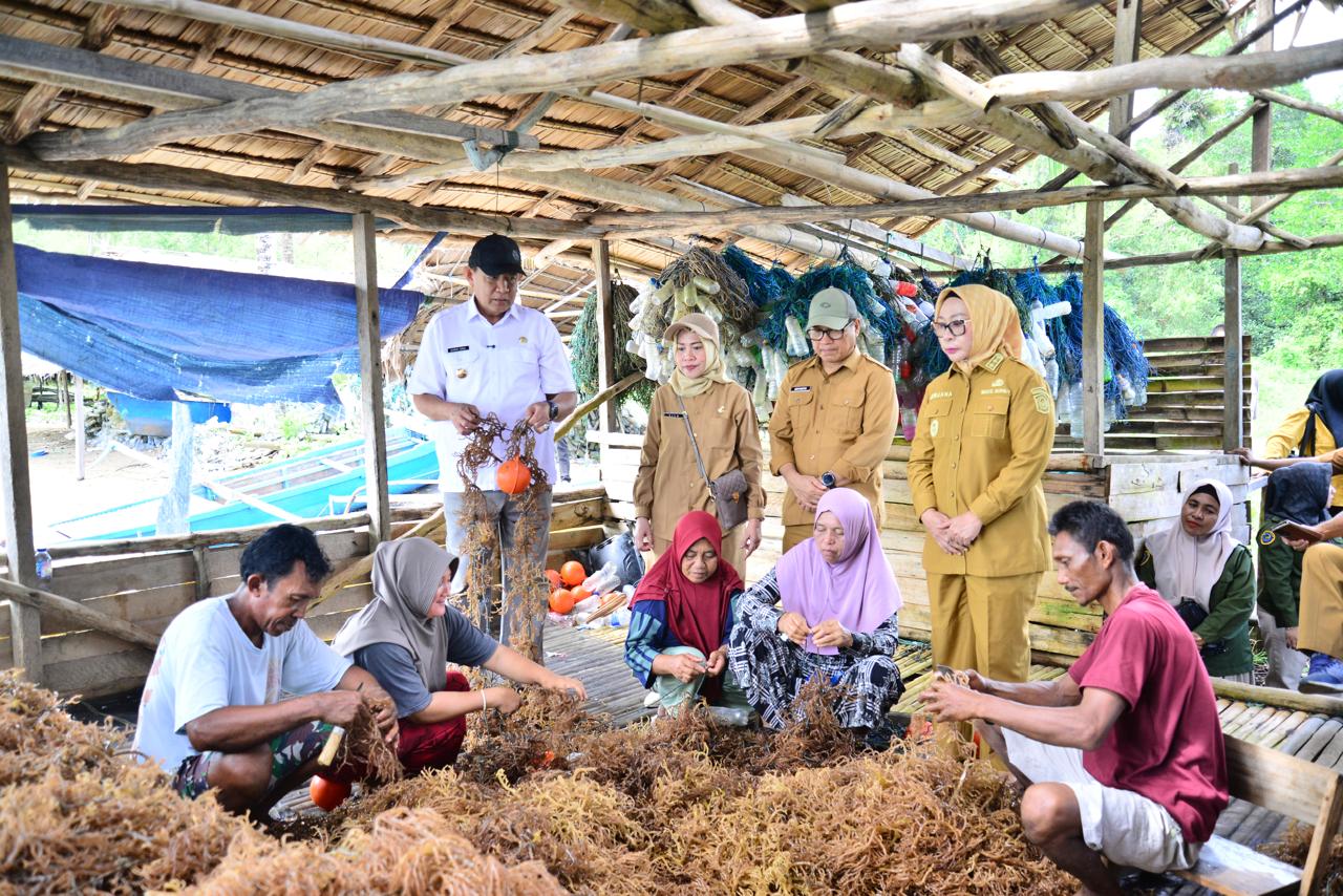 Gubernur Gorontalo Tinjau Sentra Rumput Laut di Gorut, Desa Ilodulunga Diusulkan Jadi Kampung Nelayan Merah Putih