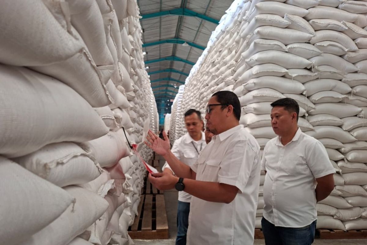 Bulog Lampung Siapkan Penyaluran Bantuan Pangan Tambahan, Serapan Gabah Capai 411.898 Ton hingga Awal Juli