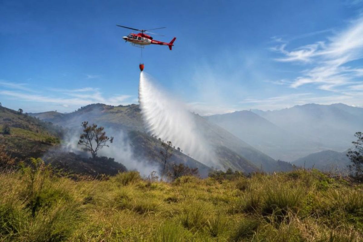 Karhutla TNBTS di Lumajang Sulit Dipadamkan, Jarak Sumber Air 7 Km dari Titik Api