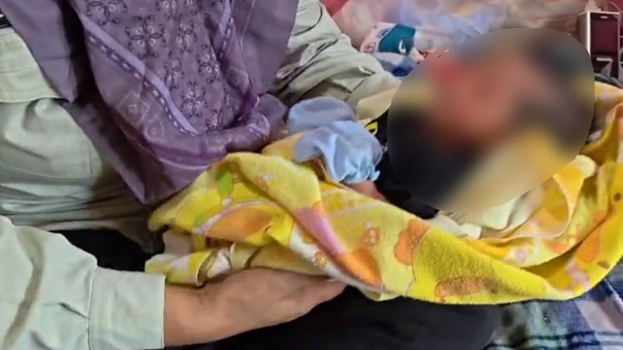 Bayi 10 Hari Ditemukan di Gedung Kosong Bekas UPTD Pendidikan di Buton, Wajah Dikerumuni Semut