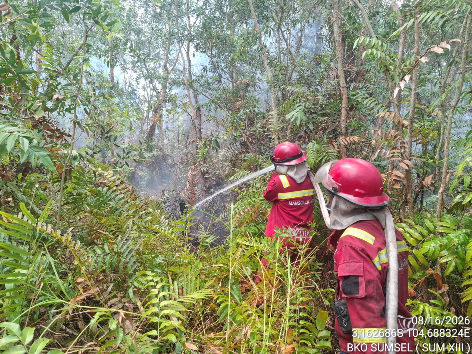 Karhutla Sumsel Masih Meluas, 96 Hektare Lahan Terbakar di OKI, Muara Enim, dan Muba