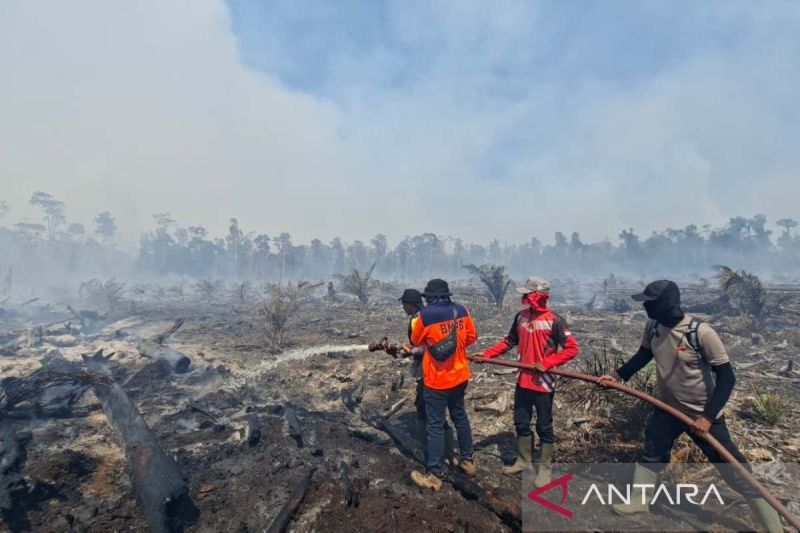 Karhutla di Aceh Barat Meluas Jadi 31,1 Hektare, Api Sulit Dipadamkan karena Angin Kencang dan Akses Jalan Rusak