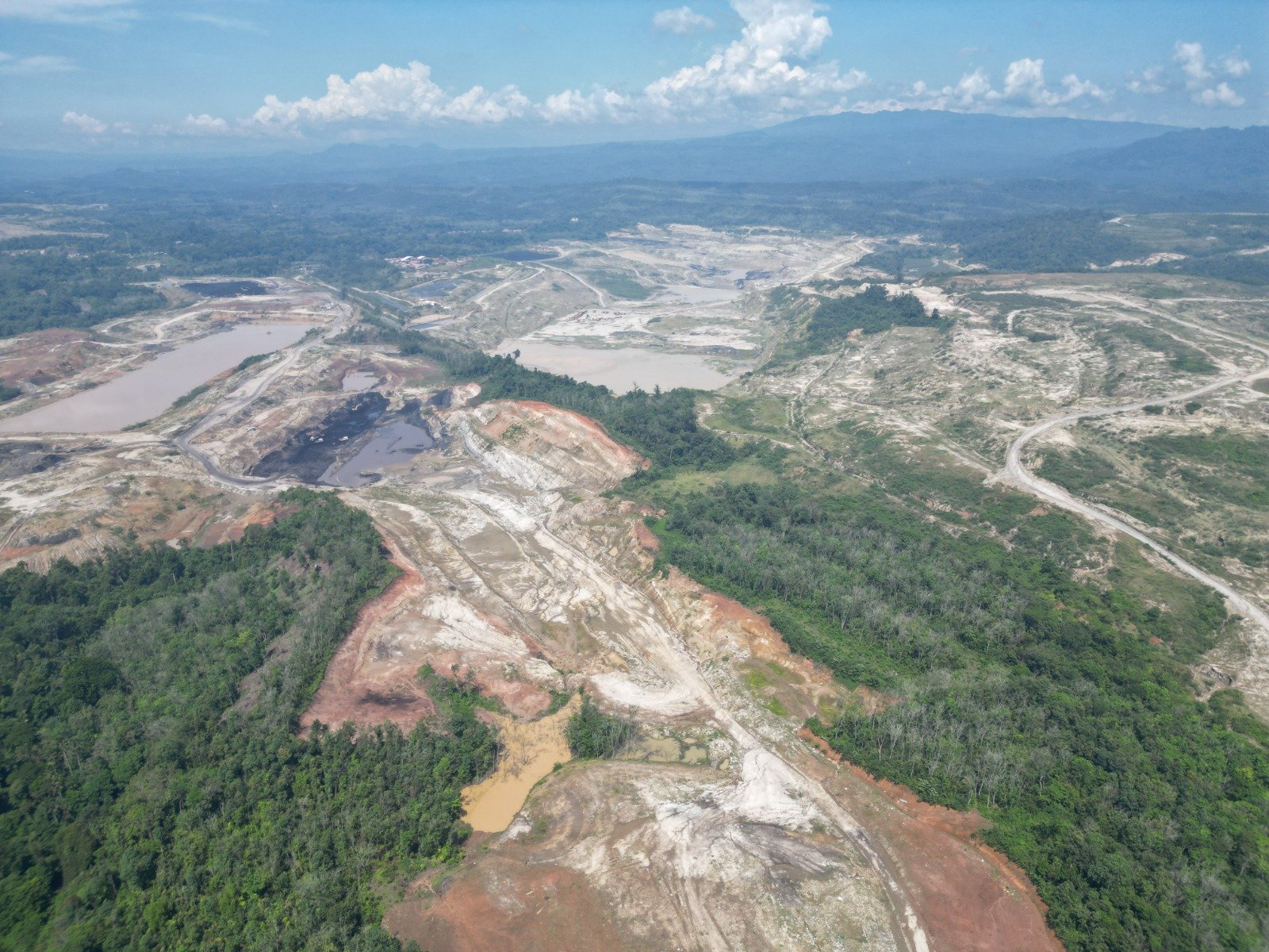 WALHI Sumsel Catat 201 Bencana Ekologis Sepanjang 2025, Desak Hentikan Ekspansi Tambang Batubara di Bukit Kendi