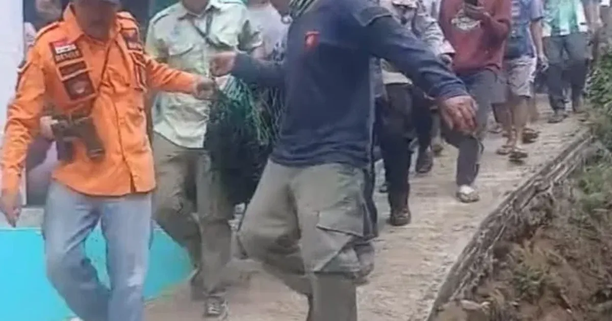 Tim Gabungan di Batang Evakuasi Macan Kumbang yang Masuk Rumah Warga Usai Mangsa Ayam dan Kelinci