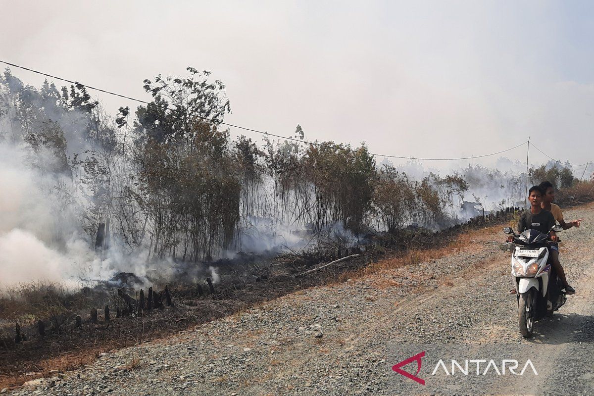 Pakar ULM Sebut Kabut Asap Karhutla Pembunuh Diam-diam, Kunjungan RS Naik 40 Persen