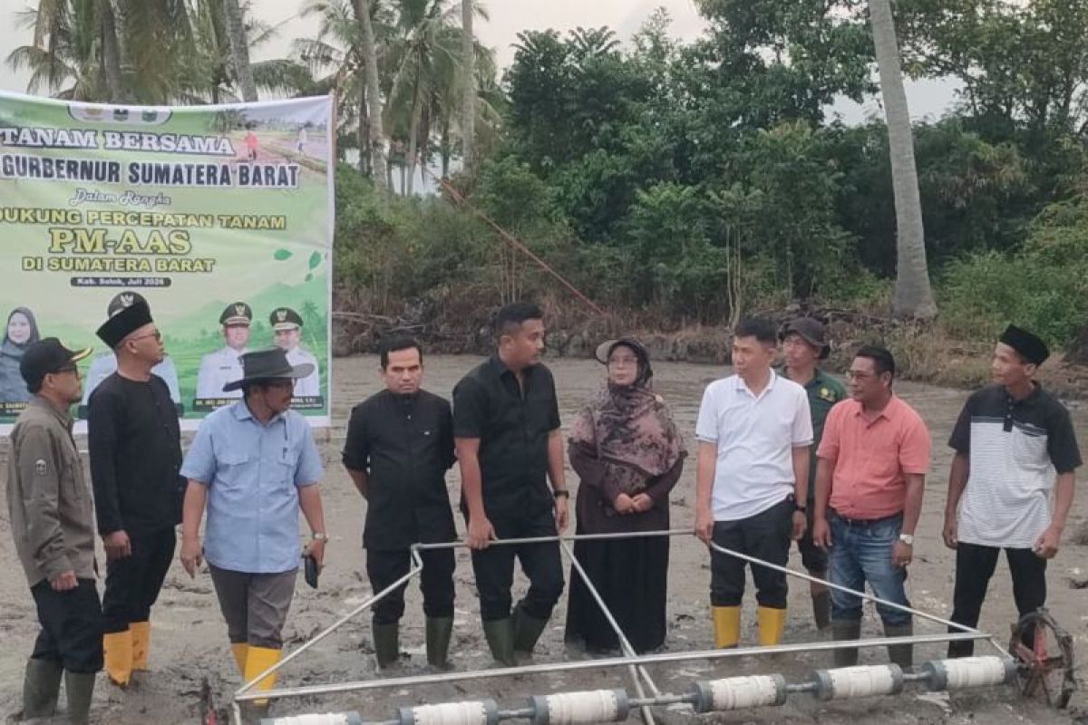 Solok Jadi Lokasi Perdana Program Pertanian Modern Sumbar, Target Produktivitas 12 Ton Gabah per Hektare