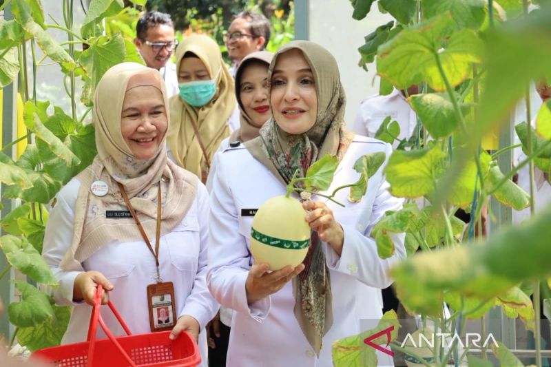 Pemkot Pekalongan Ajak Generasi Muda ke Pertanian Modern Lewat Budi Daya Melon Premium di Green House