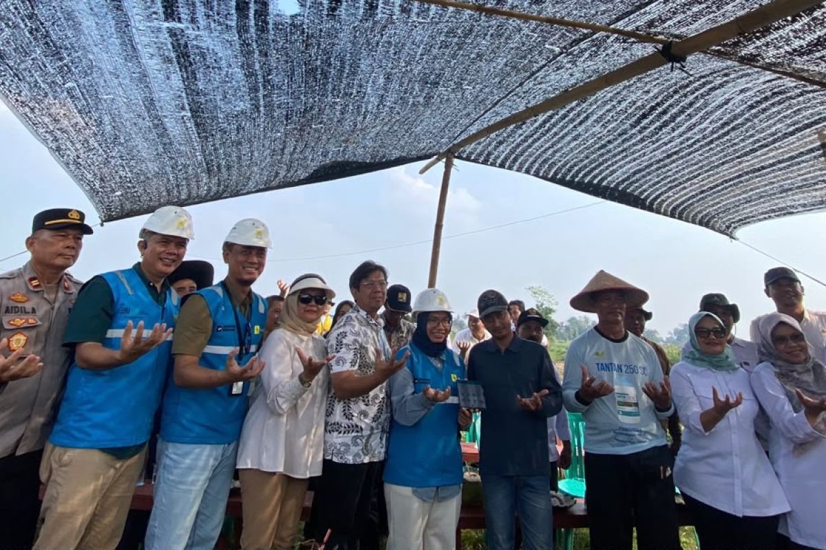 PLN Resmikan Listrik Masuk Sawah di Lampung Timur, 3 Gapoktan Andalkan Pompa Irigasi Bertenaga Listrik