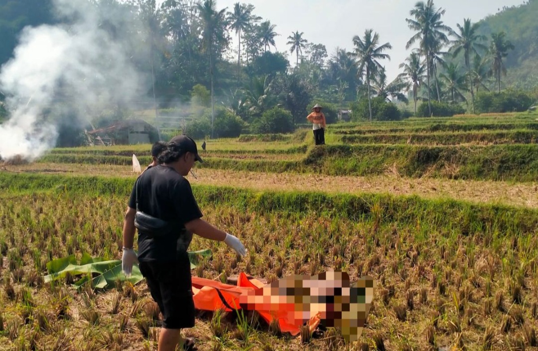 Pria Tanpa Identitas Ditemukan Tewas di Persawahan Garut, Polisi Kesulitan Kenali Korban karena Tak Ada Pakaian dan Dokumen
