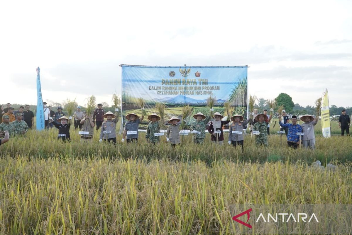 Gubernur Jambi Al Haris dan Pangdam II/Swj Panen Raya Padi Program TNI di Tanjab Timur, Target Perkuat Ketahanan Pangan Nasional
