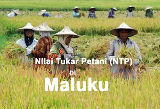 NTP Maluku Terendah se-Indonesia pada Mei 2026, Turun 0,83 Persen Jadi 93,00