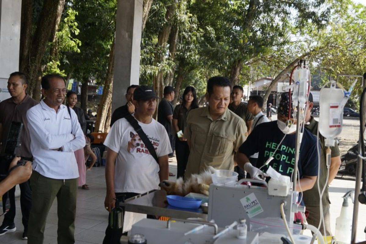 Pemkab Jembrana Gelar Vaksinasi dan Sterilisasi Hewan Gratis Bergilir di 5 Kecamatan, Cegah Rabies