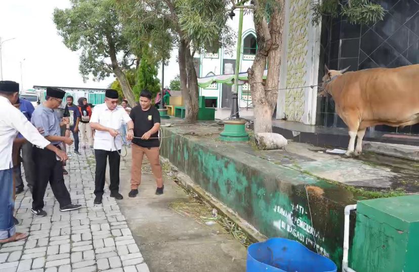 Pemkot Ternate Siapkan 23 Hewan Kurban dan 800 Kupon Daging untuk Idul Adha 1447 H, Termasuk Sapi Bantuan Presiden