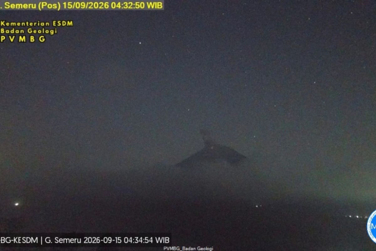 Semeru Erupsi Empat Kali dalam Lima Jam, Gemuruh Kuat Guncang Lereng Lumajang