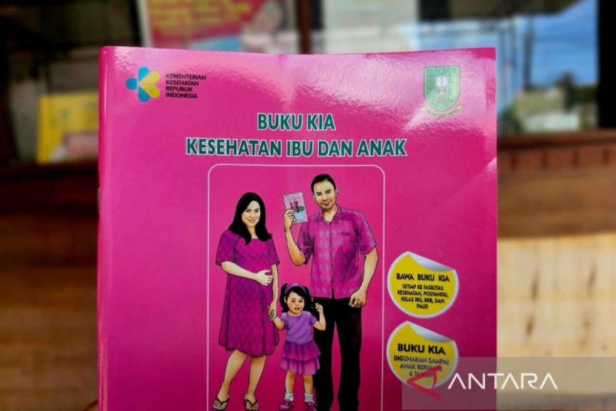 Pemkab Natuna Wajibkan 6 Kali Pemeriksaan Kehamilan di Puskesmas, Kantongi USG Dua Kali Gratis