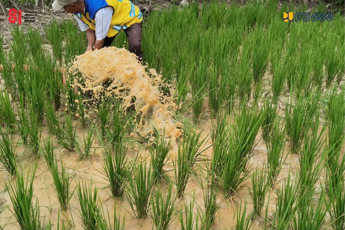 Pompa Air dari Sungai Batang Asai Selamatkan 5,10 Hektare Sawah di Sarolangun