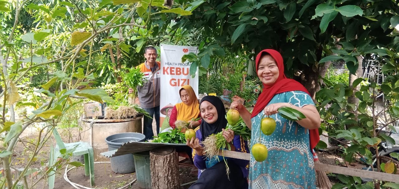 Kelompok Tani Ceria di Banda Aceh Panen Sayur Organik, Kas Kelompok Tembus Rp320 Ribu