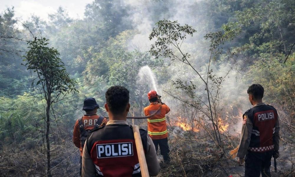 El Nino Makin Aktif, BMKG Sebut PPU dan Balikpapan Zona Paling Rawan Karhutla di Kaltim