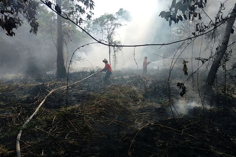 Dishut Kaltara Siagakan 18 Regu Brigdal Karhutla di Tengah Cuaca Ekstrem, Warga Diminta Tak Buang Puntung Rokok Sembarangan