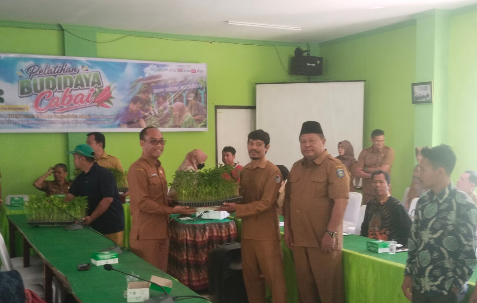 Pemprov NTB Gaungkan Gerakan Tanam Cabai di Sekolah, 61 Guru Dilatih Budidaya hingga Siapkan Ribuan Bibit Gratis