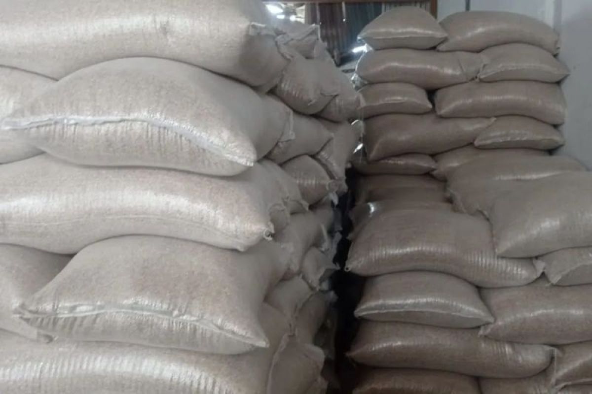 Produksi Beras Lebak Tembus 157.748 Ton per April 2026, Petani Didorong Percepat Tanam Antisipasi Kemarau