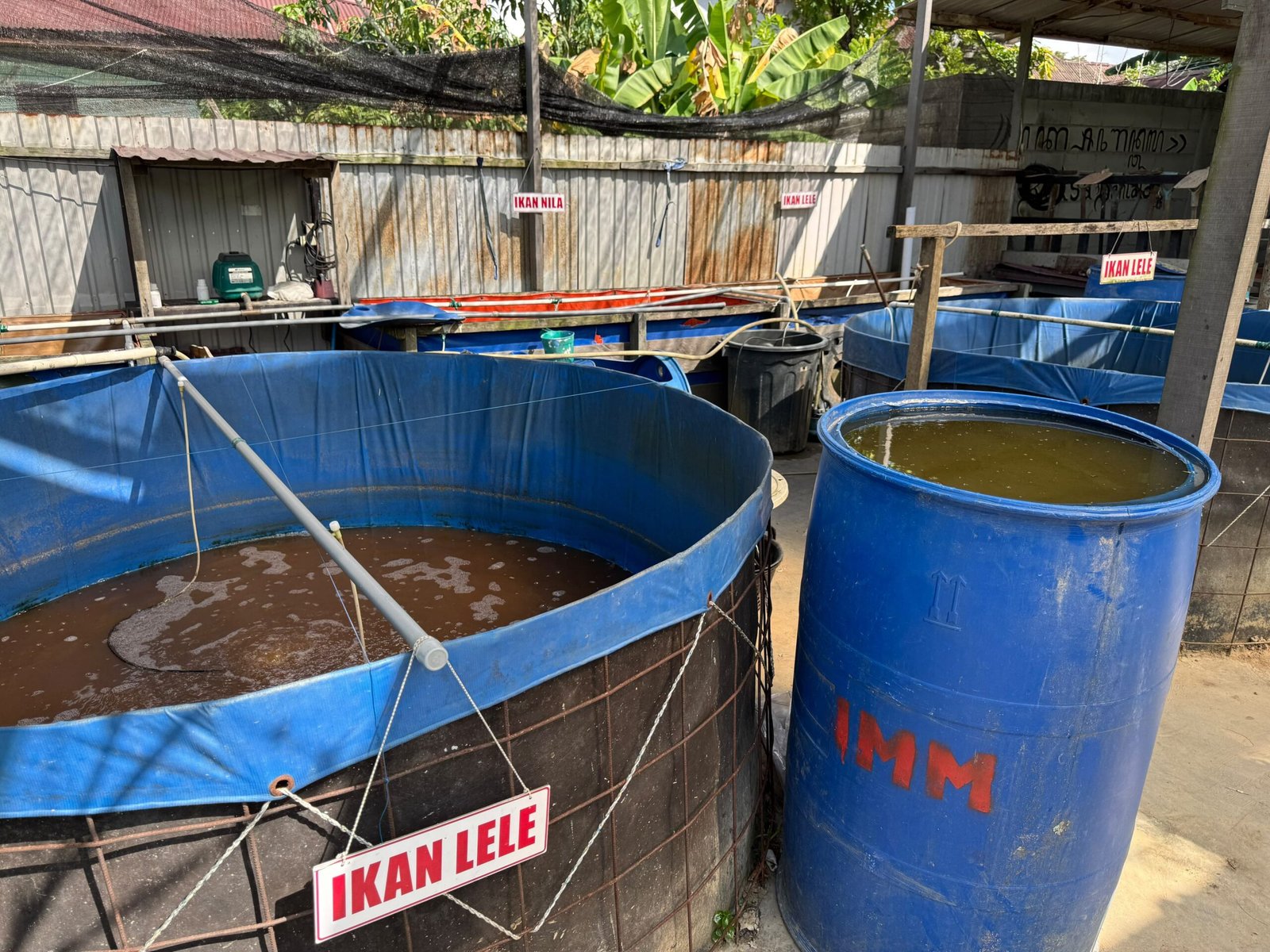 DKP3 Bontang Turun ke Lapangan Verifikasi CPCL Budidaya Air Tawar, Bantuan Sarpras bagi Pembudidaya Ikan Segera Disalurkan