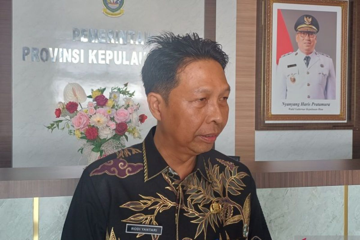 Pemprov Kepri Ajukan Rp 75 Miliar untuk Tiga Ruas Jalan Lanjutan via Inpres Jalan Daerah, Target Tembus Koarmada I