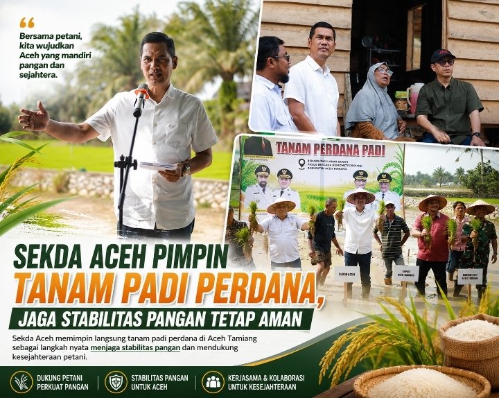 Sekda Aceh Pimpin Tanam Padi Perdana di Aceh Tamiang, 57.364 Hektare Sawah Terdampak Bencana Mulai Pulih