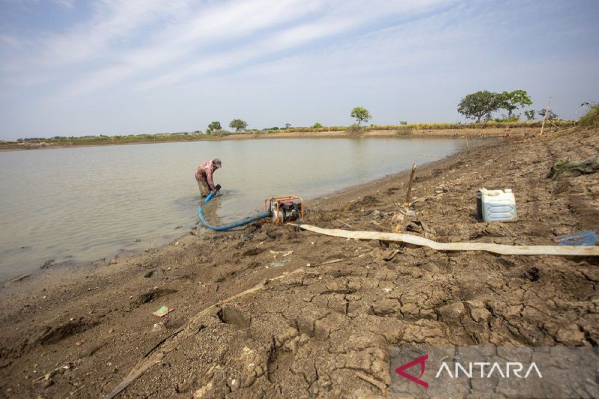 Petani Indramayu Mulai Pasang Pompa Air Saat Embung Mengering di Musim Kemarau
