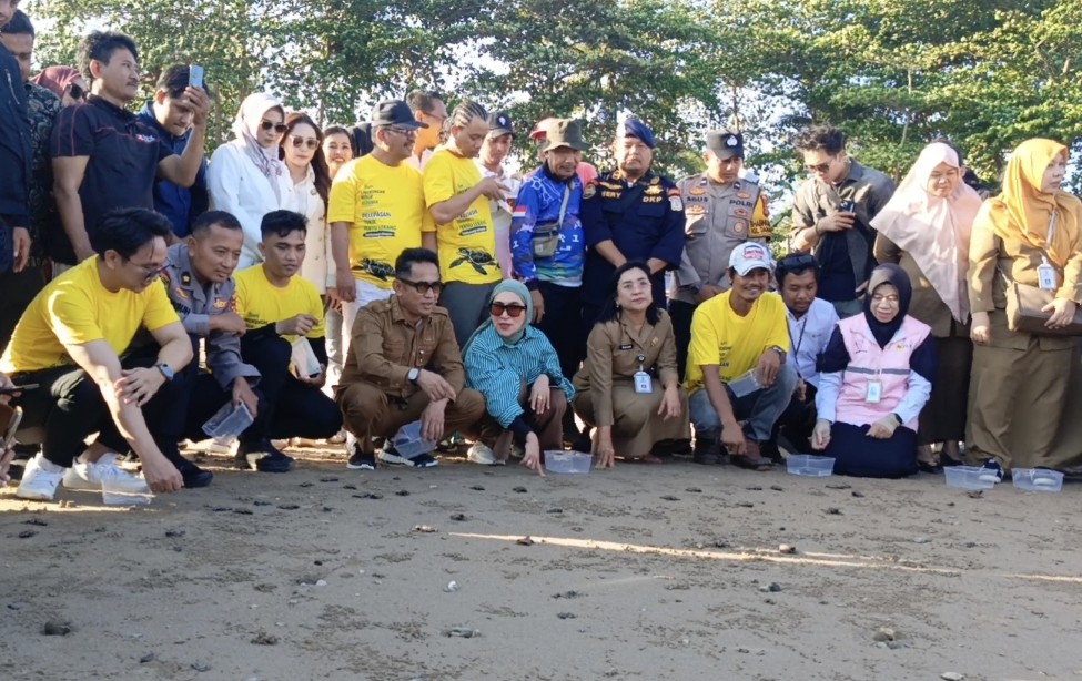 Wali Kota Balikpapan Rahmad Mas’ud Lepas 80 Tukik Penyu Lekang di Pantai DEB, Tegaskan Komitmen Konservasi Laut