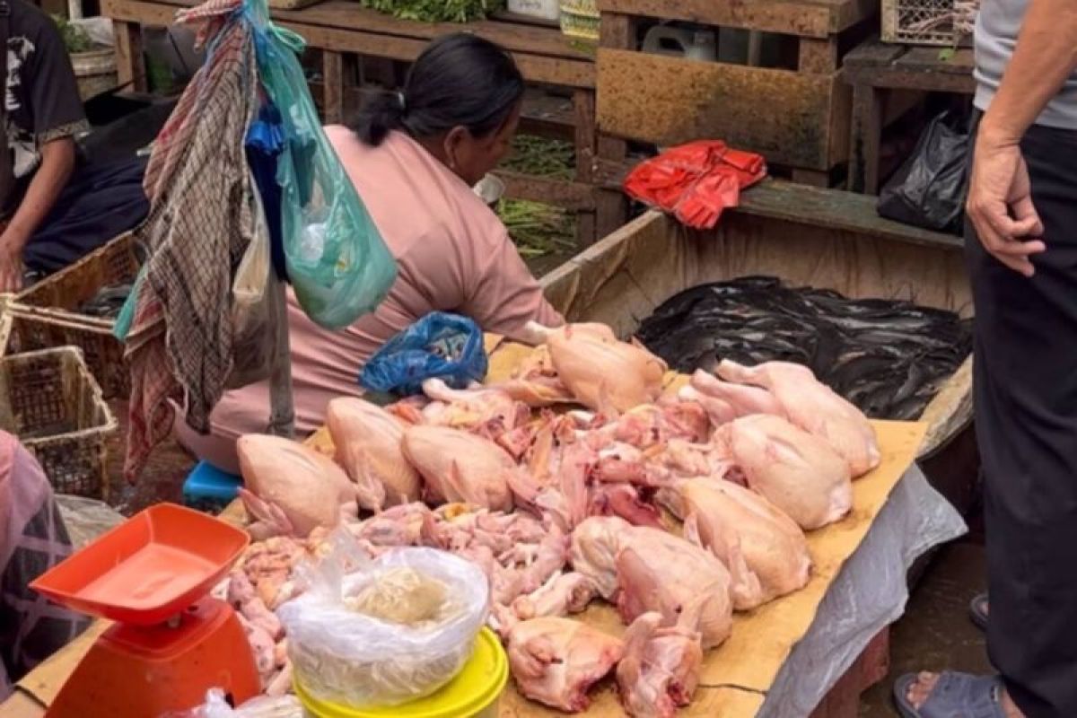 Pemprov Sumsel Minta Warga Tak Panic Buying Jelang Idul Adha, Stok Bawang-Cabai-Beras Dipastikan Aman