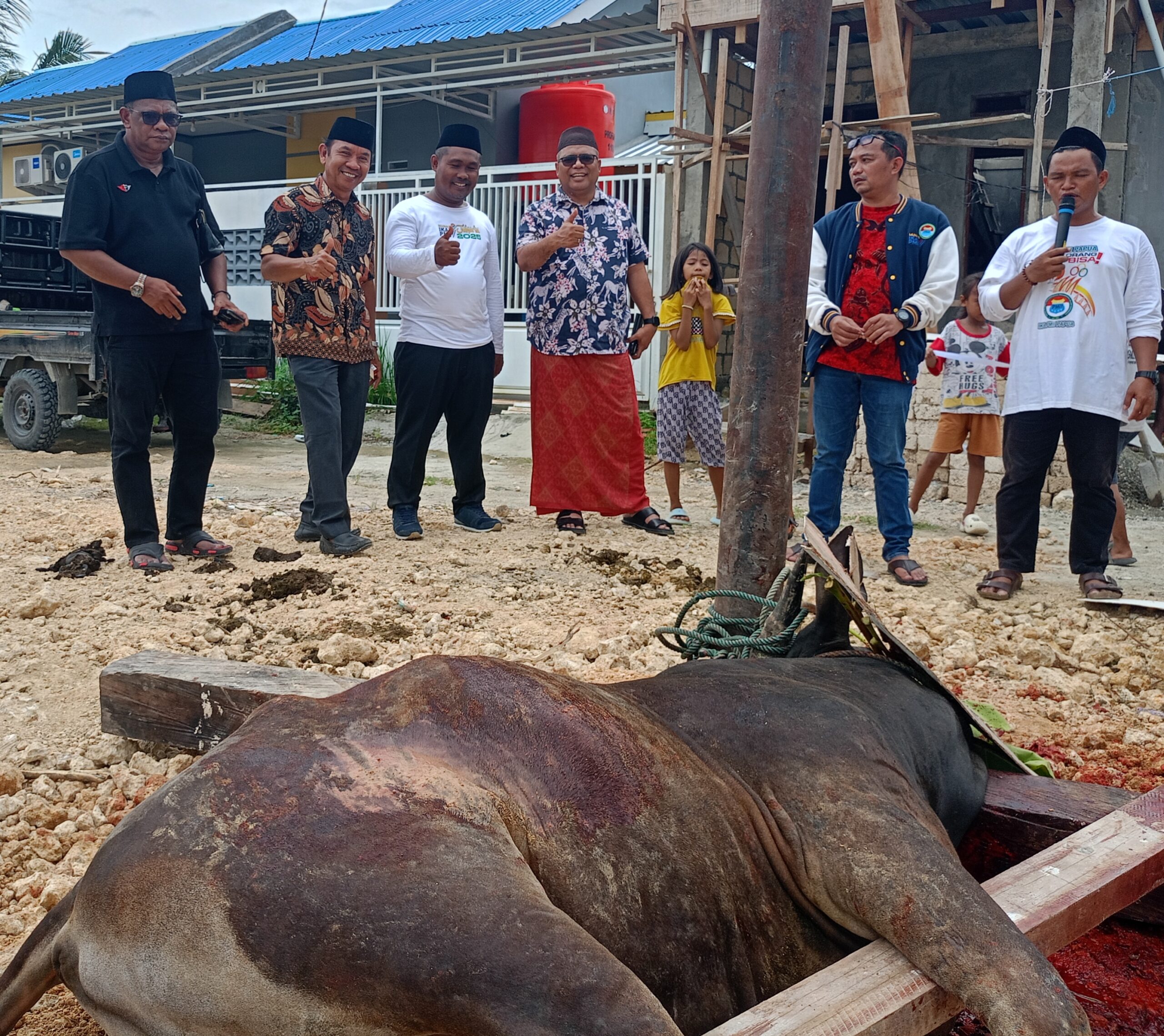 Alumni PMII Papua Distribusikan 120 Paket Daging Kurban Idul Adha ke Warga Jayapura, 2 dari 3 Sapi Sumbangan Anggota BPK