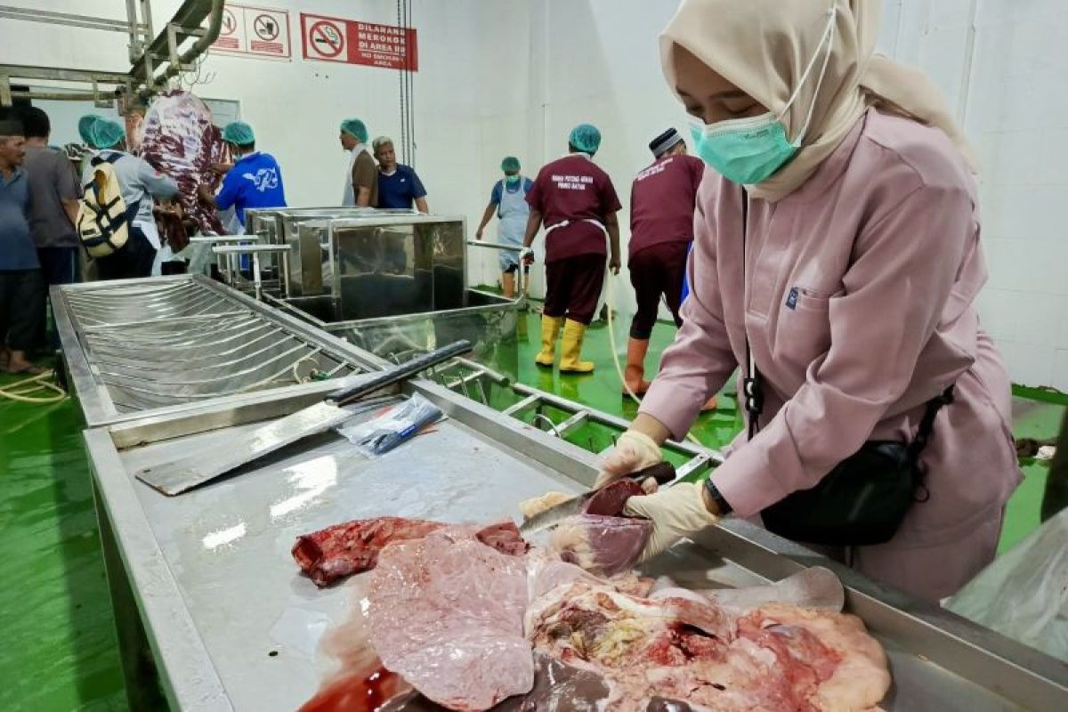 UPTD RPH Batam Gencar Edukasi Daging ASUH, Ungkap Masih Ada Pemotongan Ilegal di Kandang