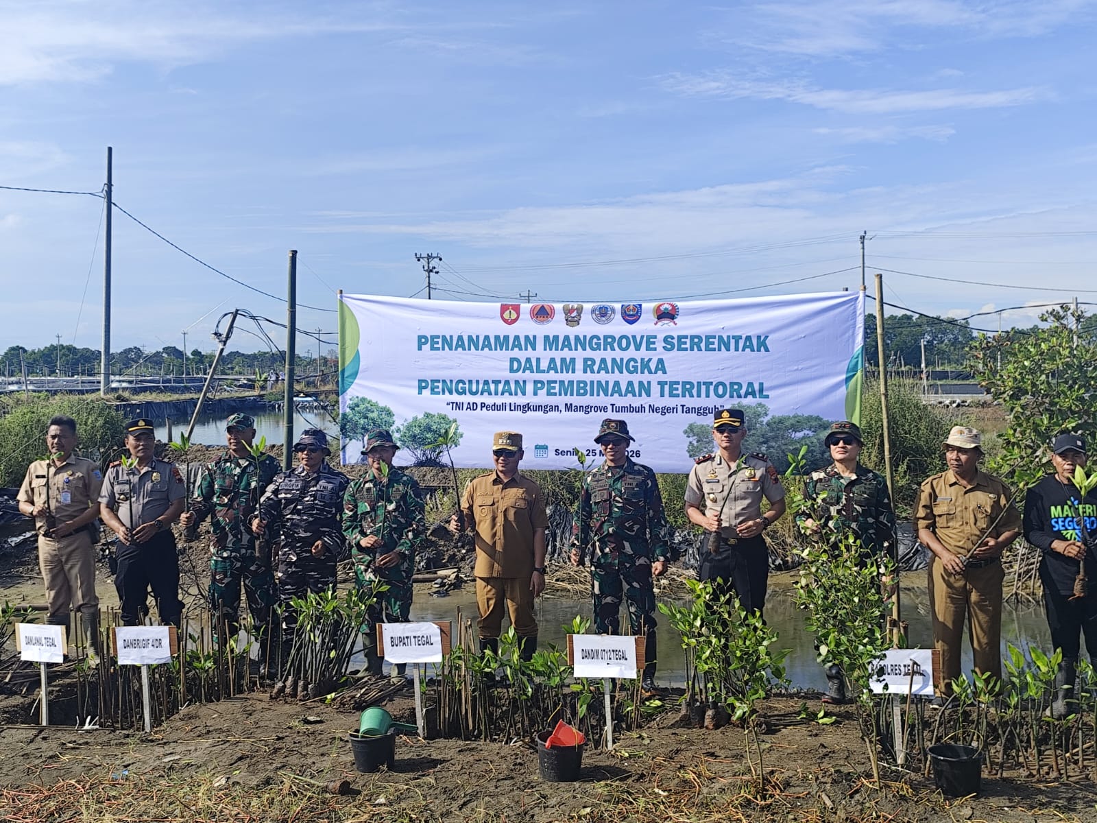 TNI-Polri dan Pemkab Tegal Tanam 1.000 Bibit Mangrove di Pantai Kedungkelor untuk Cegah Abrasi