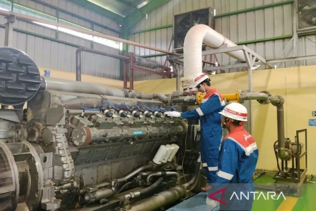 PLTBg Sei Mangkei di Simalungun Hasilkan 2,4 MWh Listrik per Hari dari 790 Meter Kubik Limbah Sawit